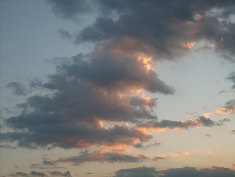 Умерен ветрец ще ни разхлажда днес от жегата