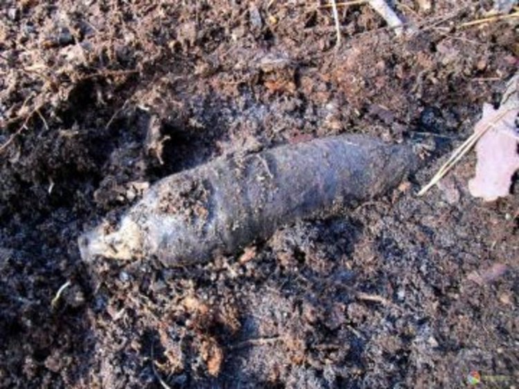 Военни от Хасково обезвредиха снаряда, открит до Арда