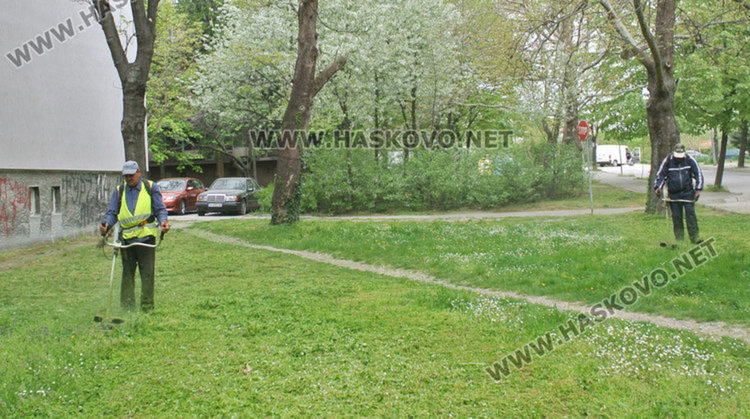 В Хасково започва пръскане срещу кърлежи