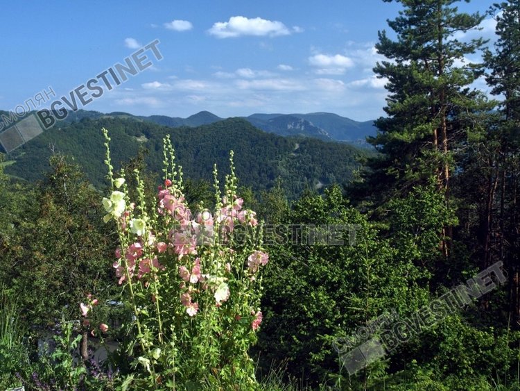 Слънчев вторник, след обяд превалявания 