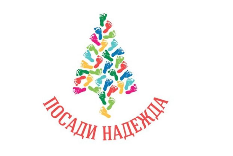 Акция 2019-та: Купи жива елха, дари за бъдещо бебе на семейства с репродуктивни проблеми