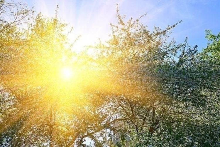 Днес ще бъде слънчево, температурите се покачват