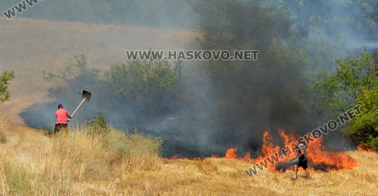 Локализираха пожара край Криво поле, Момино и Елена, обхванал 500 дка площ