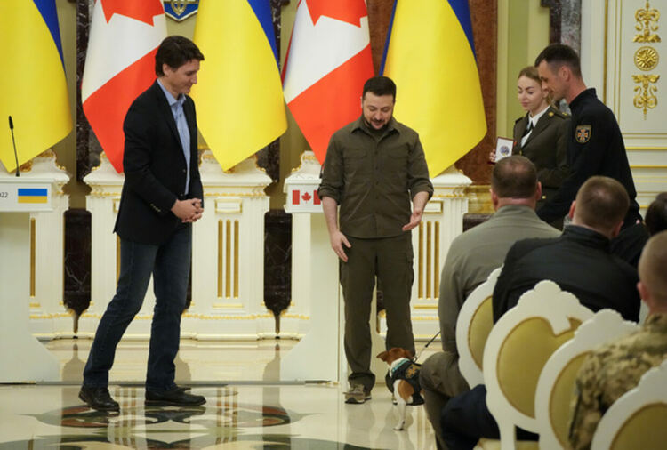 Зеленски награди най-доброто куче сапьор на Украйна