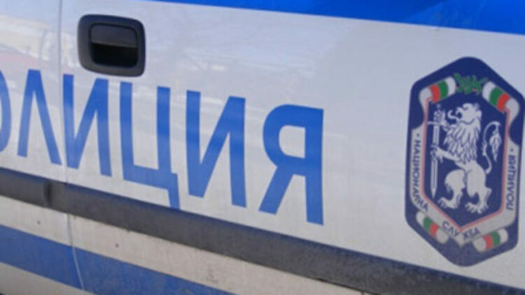  Край Търън диво животно причини катастрофа на пътя, пострадал е 20-годиишен 