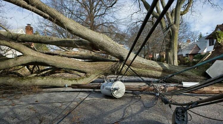Ураганен вятър до 120 км/ч премина през страната и донесе сняг, студ и щети на места