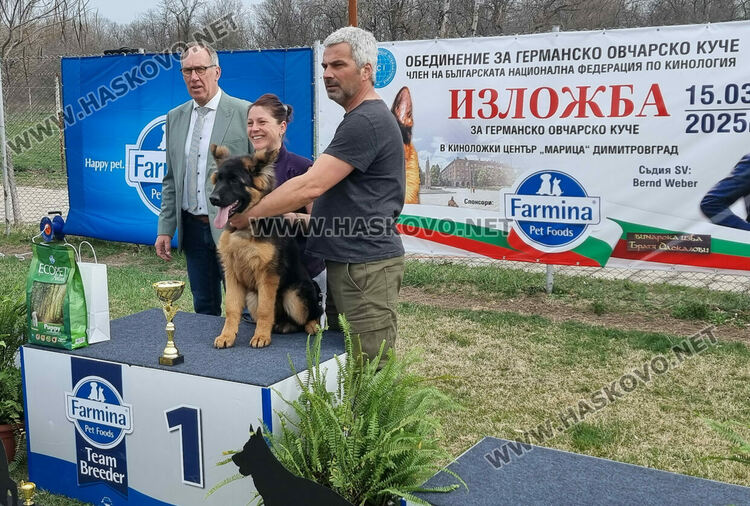 Близо 120 екземпляра от породата Германско овчарско куче участват в киноложка изложба в Димитровград