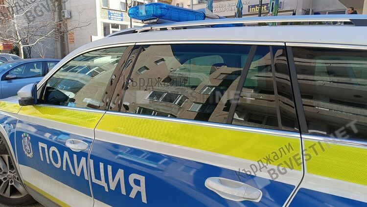 Застреляха куче в с.Ястреб с ловна пушка