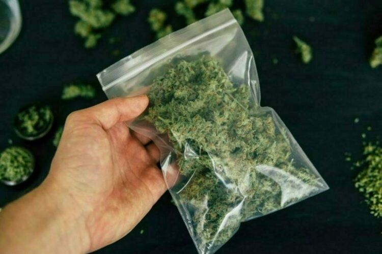 Арестуваха мъж, държал марихуана в жилището си