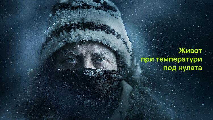 Viasat Nature: Запознайте се с героите на поредицата „Живот при температура под нулата“