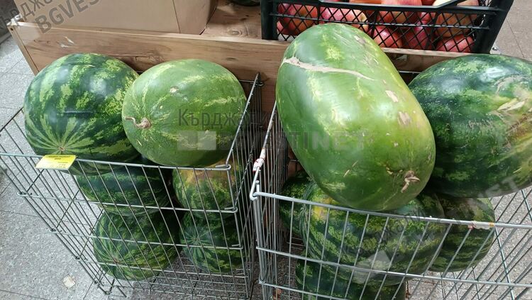 Верига от хранителни магазини в Кърджали предлага дини-гиганти от Любимец за разлика от хипермаркетите,които ги пренебрегват