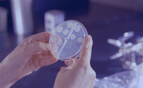 1 от 8 вида рак в световен мащаб вероятно е причинен от инфекция, установява ново проучване