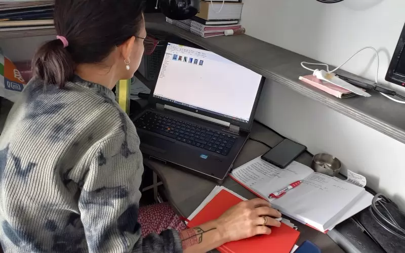 Ще изсветли ли данъчният морков частните уроци в хола?