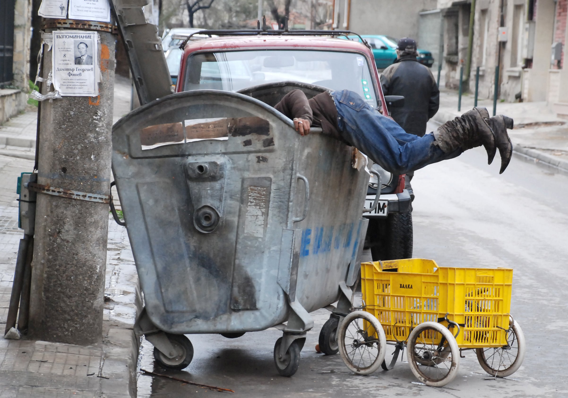 Снимка на деня